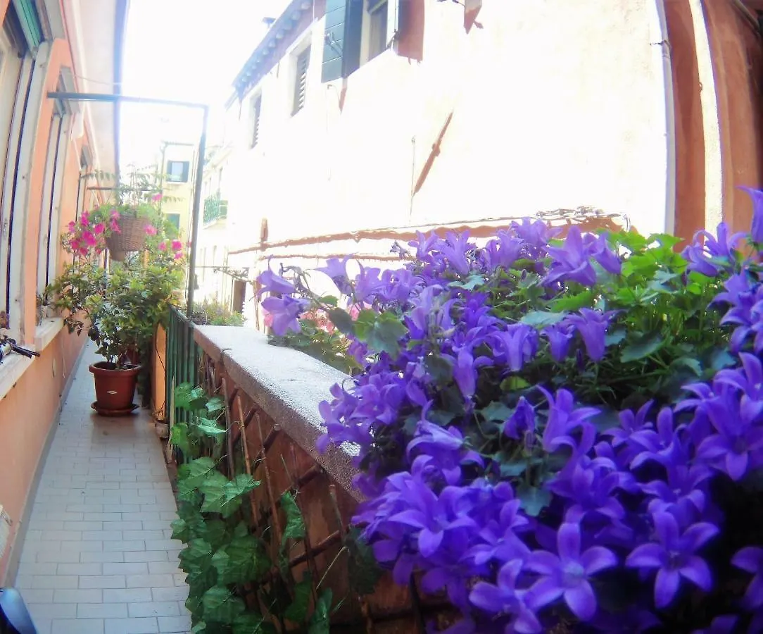 Ca' Barozzi Villa Venice